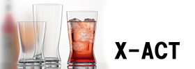 �G�N�X�A�N�g